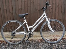 Professional Metropolitan