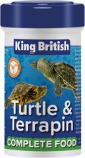King British – Turtle &