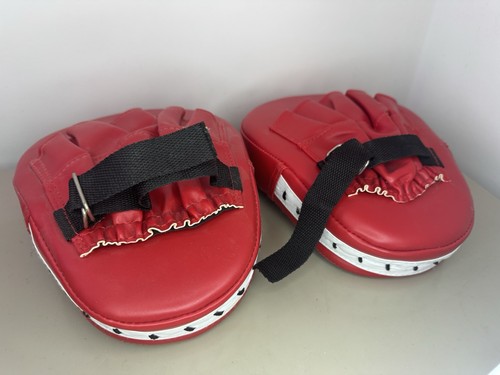 Boxing pad set focus - focus, mitts