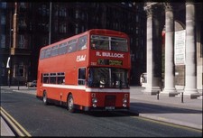 35mm unmounted slide - 35mm, bullock
