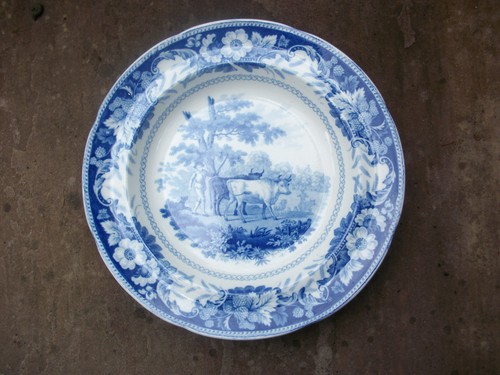 John william ridgway dish - william,