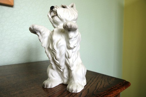 West highland terrier - west,