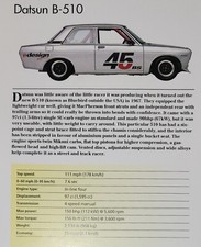Datsun B 510 Car Picture Out