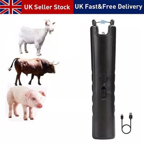 Livestock pig cattle - livestock,