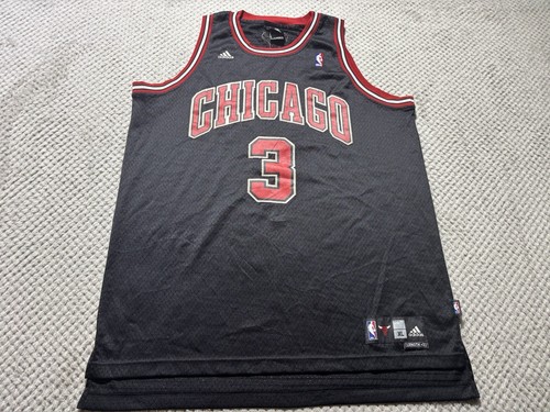 Chicago bulls basketball - chicago,