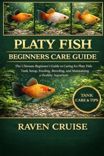 Platy fish beginners - platy,
