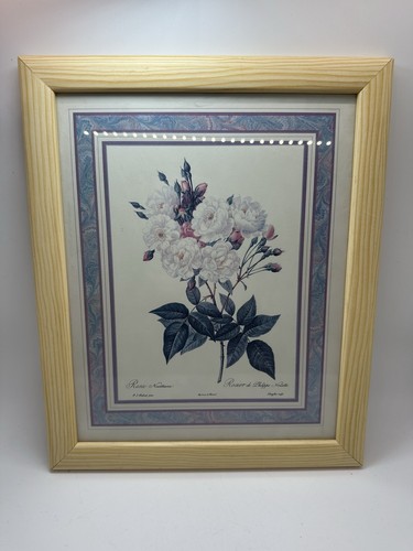 Botanical art print - botanical,