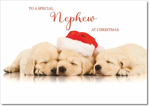 Doodlecards nephew christmas - doodlecards,