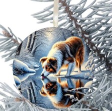 Border Collie Dog Hanging