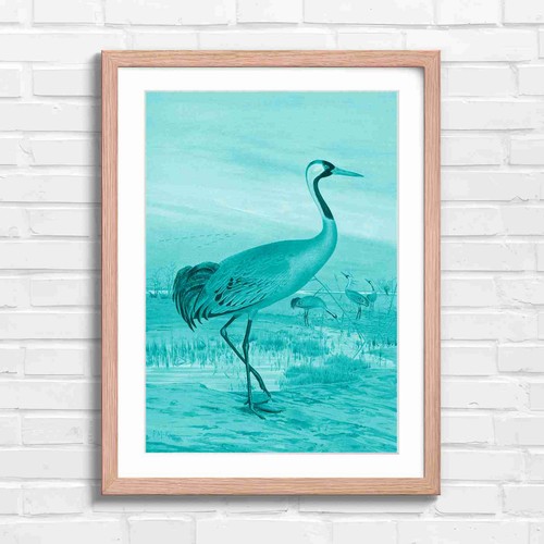 Elegant red crowned crane - elegant,