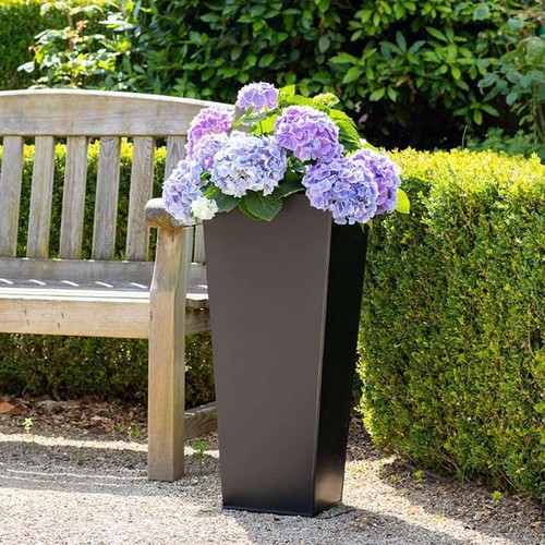 Zinc black metal - black,