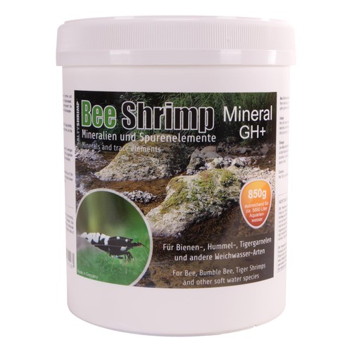 Saltyshrimp bee shrimp mineral - bee,