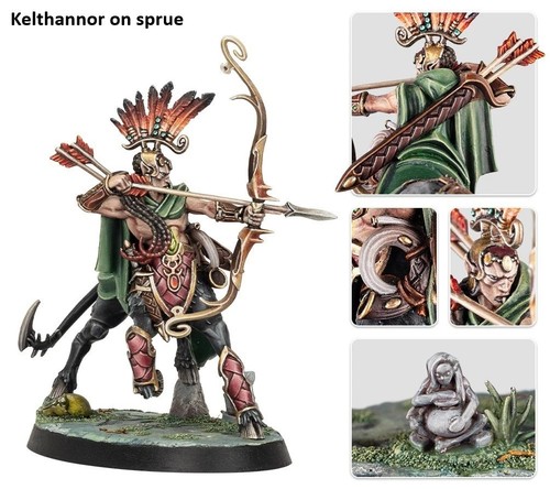 Kelthannor warhammer quest - kelthannor,