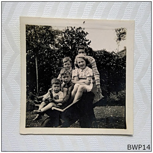 Children wheelbarrow - 4,