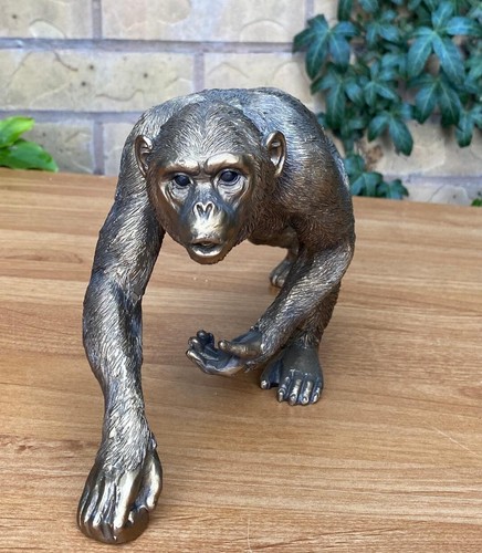 Bronze colour chimpanzee - bronze,