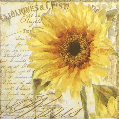 Single paper napkins for - 4x,