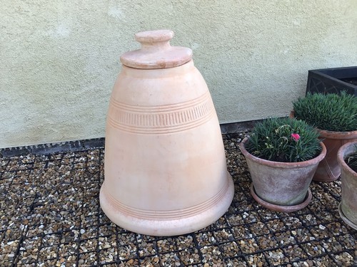 Rhubarb forcer terracota - forcer,