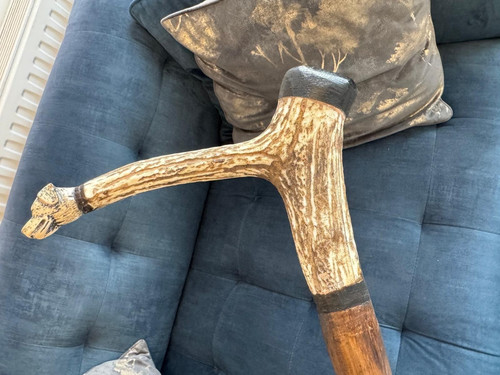 Antler horn walking stick - walking,