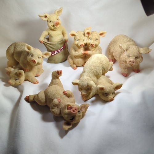 Leonardo collection pig - collection,