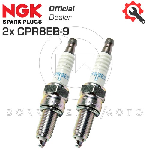 Pair spark plugs ngk - pair,