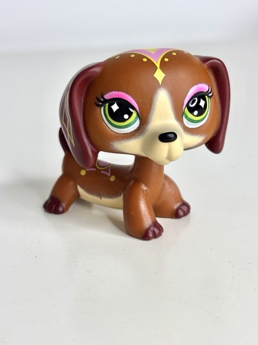 Authentic dachshund dog 261 - authentic,