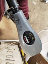 M12 Yamaha 30 lb Electric