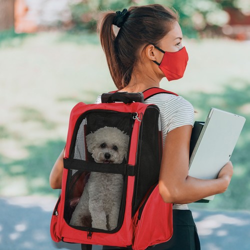 Pawhut pet travel backpack - pawhut, bag