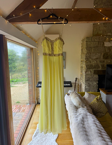 Coast yellow sequin sweetheart - coast,