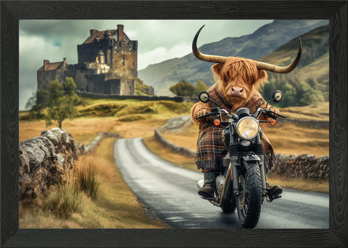 Highland cow scotland framed - highland,