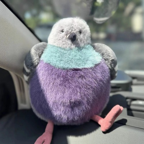 23cm parrot fat - parrot, pigeon