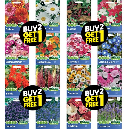 Flower seeds delphinium - flower,