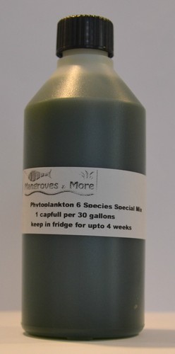 Live marine phytoplankton - live,