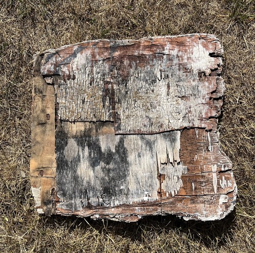 Large driftwood plywood - driftwood,
