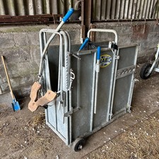 IAE Cattle Crush Sheep