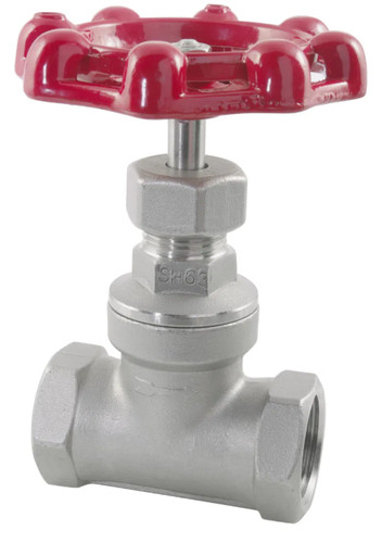Gate valve bsp stainless steel - valve,