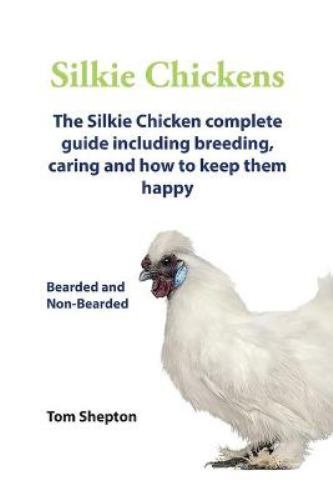 Silkie chickens - silkie,