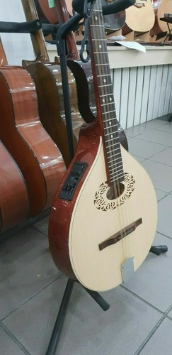 Octave mandolin with - , eq