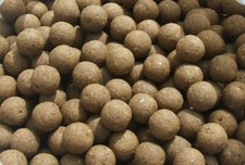 Pacific Tuna Shelflife