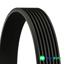 CONTINENTAL CTAM V-RIBBED BELT