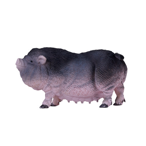 Pot bellied pig farm animals - bellied,