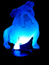 British Bulldog Engraved LED Desk lamp remote APP with sound to light