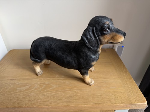 Realistic black tan - &,
