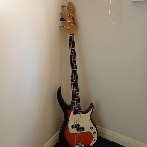 Peavy string bass guitar - bass,