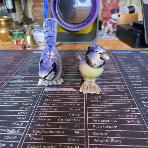 Blue jay bird salt pepper - jay, &