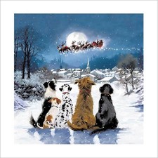 Fun Christmas Card Dogs Santa Paws is Coming Sleigh - Luxury Festive Xmas Card