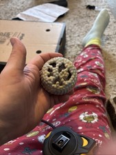 Unusual-Rare Wade Coral Style