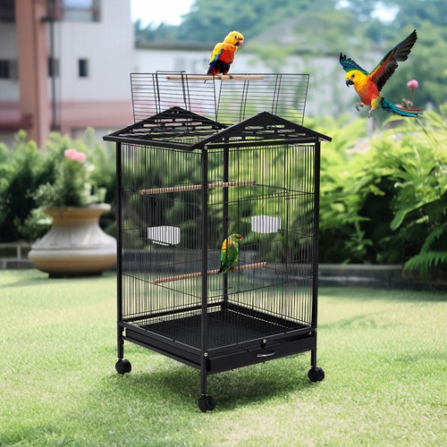 Large rolling parrot - large,