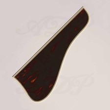 Tortoise Archtop Non-Cutaway