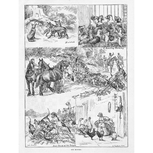 Victorian cub hunting scenes - cub,
