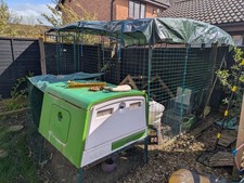 Omlet cube chicken coop - omlet,